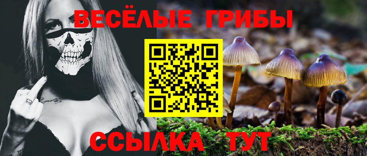 Галлюциногенные грибы Psilocybine cubensis  Вход с VPN  Галлюциногенные грибы Psilocybine cubensis  Черняховск 